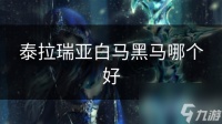 泰拉瑞亚白马黑马哪个好