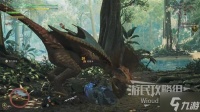 《怪物猎人荒野》怪鸟捕获教程 怪鸟怎么抓