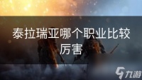泰拉瑞亚哪个职业比较厉害