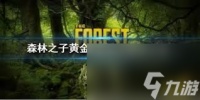 森林之子黄金甲的效果是什么