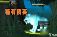 60级猎人带什么宝宝
