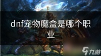 dnf宠物魔盒是哪个职业