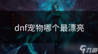 dnf宠物哪个最漂亮