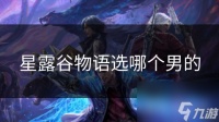 星露谷物语选哪个男的