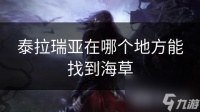 泰拉瑞亚在哪个地方能找到海草
