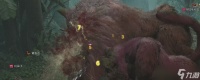 怪物猎人荒野怎么联机玩大世界狩猎-怪物猎人荒野大世界狩猎联机教程推荐