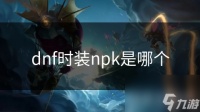 dnf时装npk是哪个