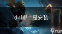 dnf哪个是安装