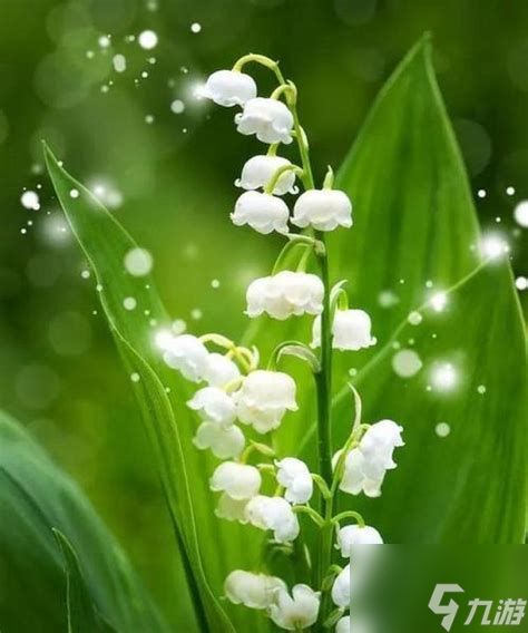 3194的深层寓意与象征意义解析：揭示数字背后的故事