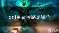 dnf目录径路是哪个