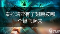 泰拉瑞亚有了翅膀按哪个键飞起来