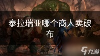 泰拉瑞亚哪个商人卖破布