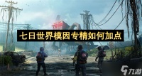 七日世界模因专精怎么加点