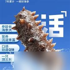 海参是软体动物吗