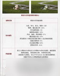 DNF2025五一套宠物属性是什么
