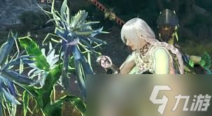 怪物猎人荒野一夜花的月华粉怎么速刷