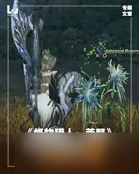 怪物猎人荒野一夜花的月华粉怎么速刷