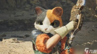 《怪物猎人 荒野》新事件6月上线 可得超可爱艾露猫头盔