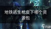 地铁逃生枪皮下哪个资源包