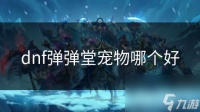 dnf弹弹堂宠物哪个好