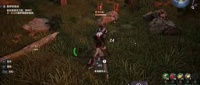 荒野起源背包怎么管理