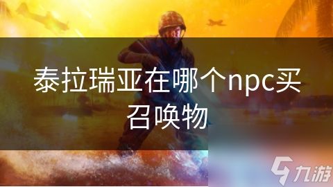 泰拉瑞亚在哪个npc买召唤物