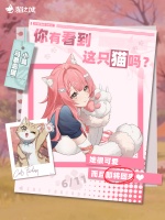 寻猫启事：你有看到马恩岛猫吗？