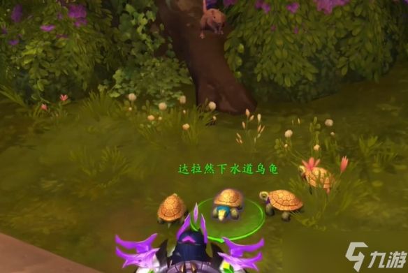 《魔兽世界》达拉然下水道乌龟宠物获取攻略