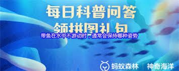 带鱼在水中不游动时通常保持啥姿势