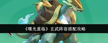 曙光重临玄武玩法是什么