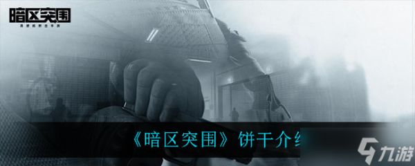 “暗区突围饼干评测”