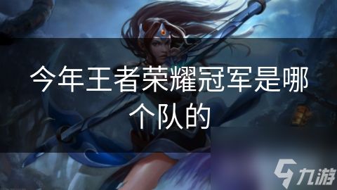 今年王者荣耀冠军是哪个队的
