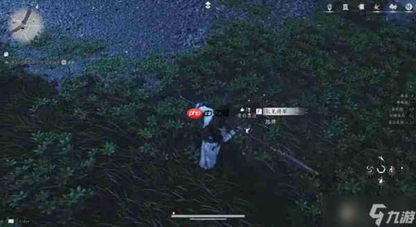 燕云十六声奇珍系统怎么玩 燕云奇珍蹊跷收集介绍