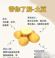 原神土豆的神奇用途 原神中土豆的多种用途和重要性