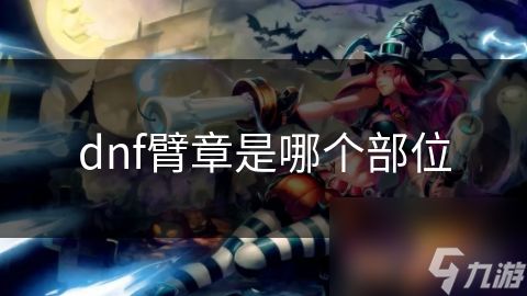 dnf臂章是哪个部位