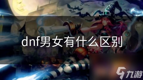 dnf男女有什么区别