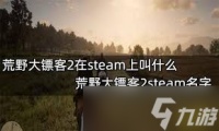 荒野大镖客2在steam上叫什么