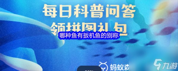 哪种鱼有扳机鱼的别称