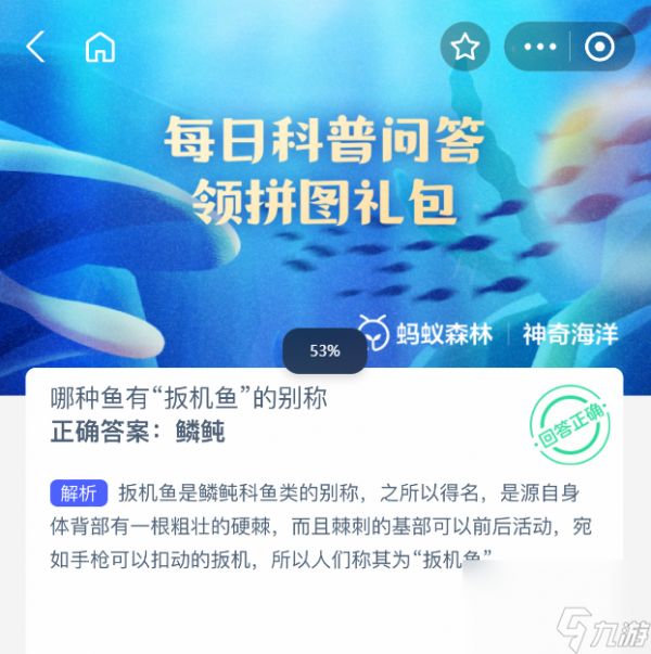 哪种鱼有扳机鱼的别称