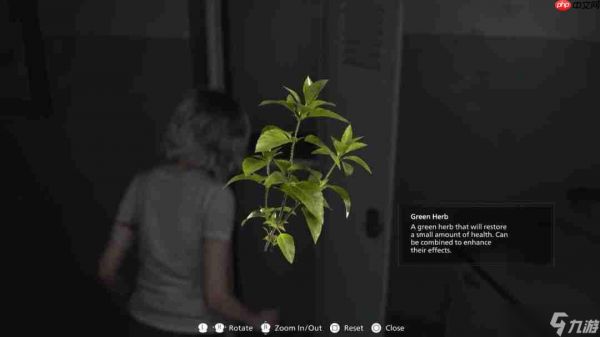 绿色草药回归《生化危机9》 依然是玩家熟悉的味道
