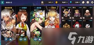 如何有效搭配坎公骑冠剑土队的阵容