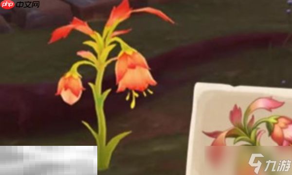 原神悼灵花在哪 悼灵花采集路线分享