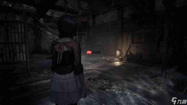 《零～红蝶～重制版》还登陆Steam 首批官方截图