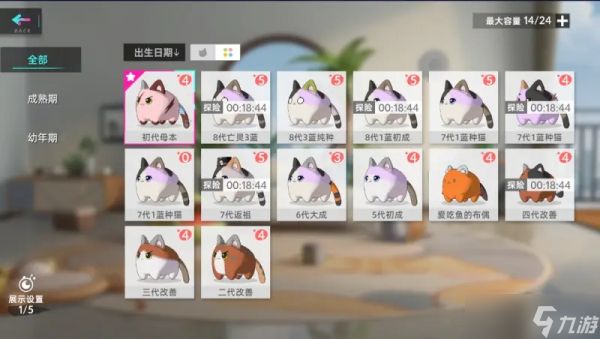 猫之城碰瓷猫的培育与养成全攻略