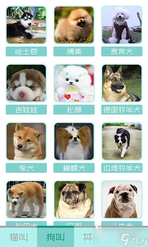 好用的猫咪软件排行榜 经典的猫咪软件有哪些