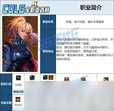 DNF协战师区域防御技能进化全形态有哪些