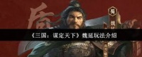 三国谋定天下魏延玩法攻略