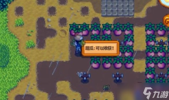 <a id='link_pop' class='keyword-tag' href='https://www.9game.cn/xlgwy/'>星露谷物语</a>夏季种子有哪些特性