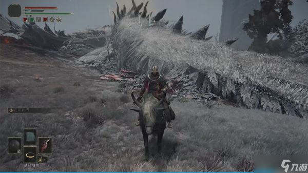 <a id='link_pop' class='keyword-tag' href='https://www.9game.cn/aedfh/'>艾尔登法环</a>巨大白龙杀了有什么