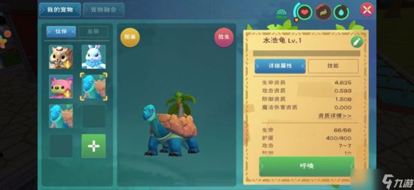 创造与魔法水池龟饲料怎么做